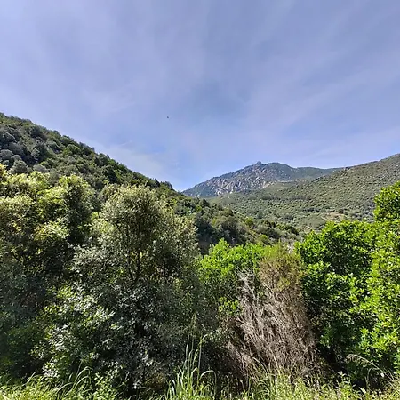 Ajaccio-villa Moderne Et Familiale 4* Ajaccio
